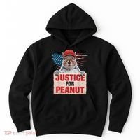 Justice For Peanut The Squirrel American Flag Peanut Squirrel Gift Hoodie thumb 0