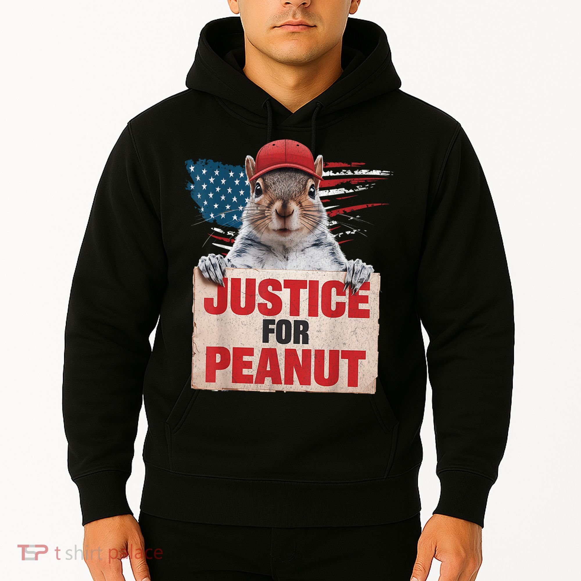 Justice For Peanut The Squirrel American Flag Peanut Squirrel Gift Hoodie
