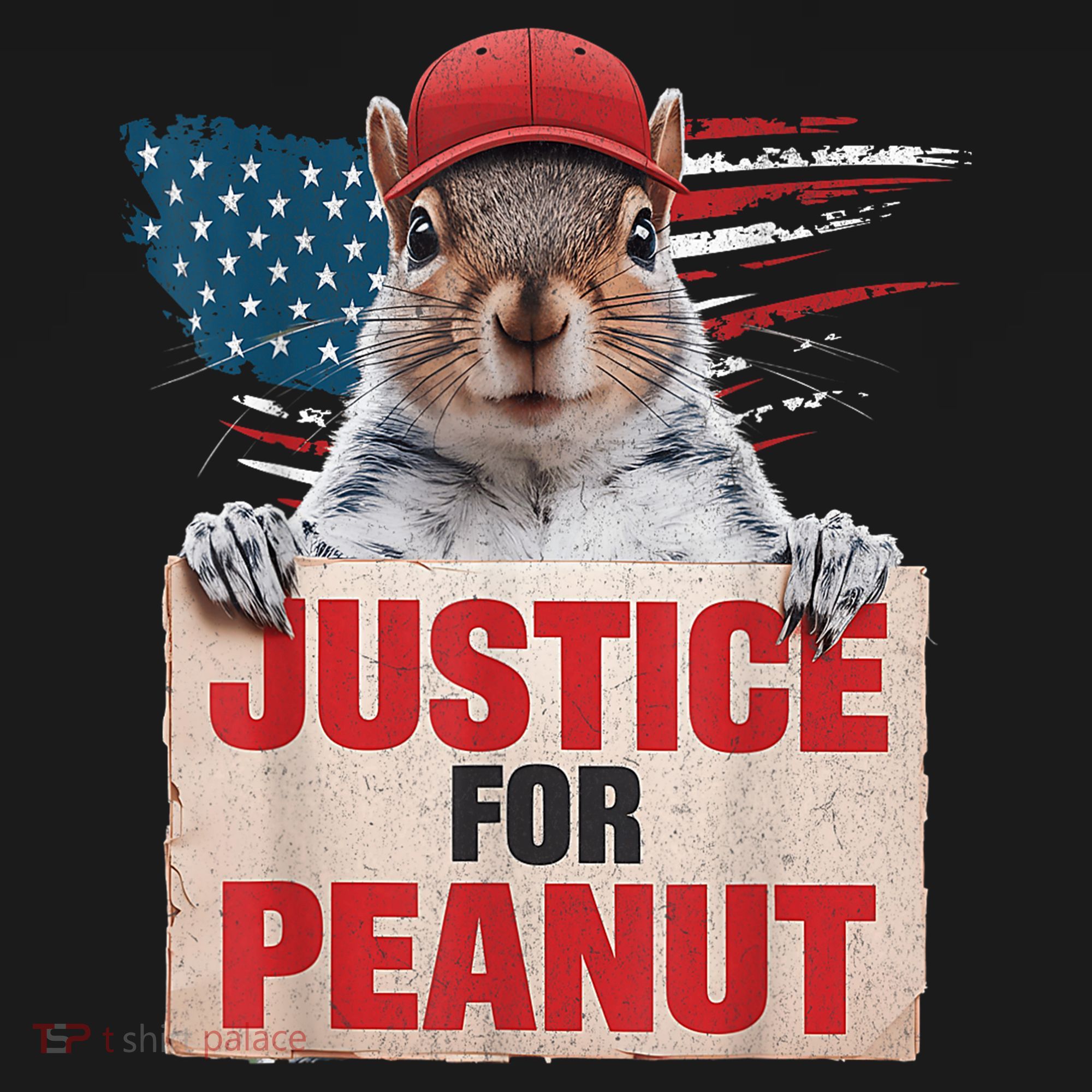 Justice For Peanut The Squirrel American Flag Peanut Squirrel Gift Sweatshirt