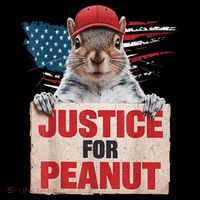 Justice For Peanut The Squirrel American Flag Peanut Squirrel Gift Coffee Mug thumb 5