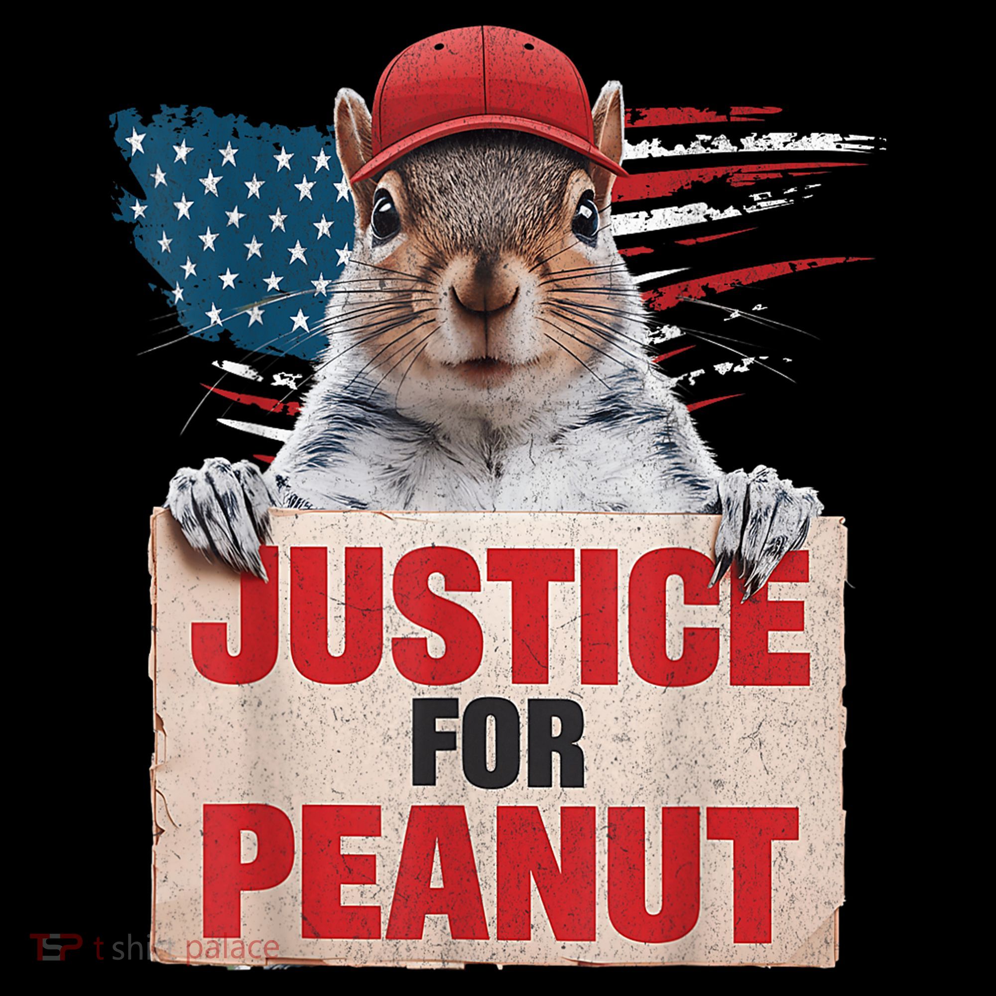 Justice For Peanut The Squirrel American Flag Peanut Squirrel Gift Coaster