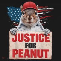Justice For Peanut The Squirrel American Flag Peanut Squirrel Gift Polo thumb 3