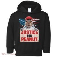 Justice For Peanut The Squirrel American Flag Peanut Squirrel Gift Toddler Hoodie thumb 0