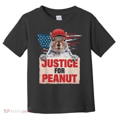 Justice For Peanut The Squirrel American Flag Peanut Squirrel Gift Toddler T-Shirt