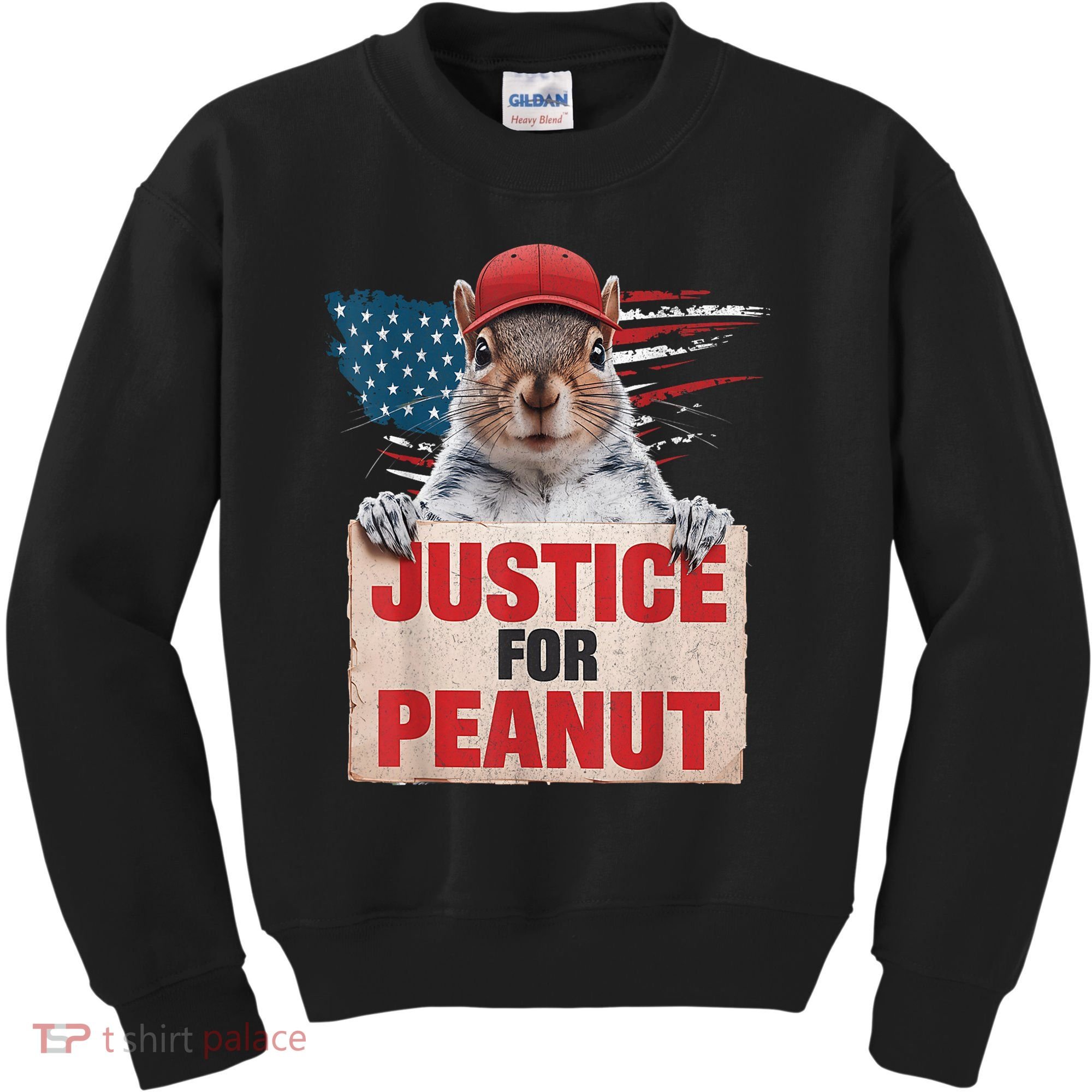 Justice For Peanut The Squirrel American Flag Peanut Squirrel Gift Kids Sweatshirt