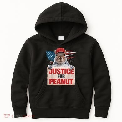 Justice For Peanut The Squirrel American Flag Peanut Squirrel Gift Kids Hoodie