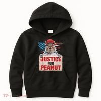 Justice For Peanut The Squirrel American Flag Peanut Squirrel Gift Kids Hoodie thumb 0