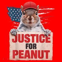 Justice For Peanut The Squirrel American Flag Peanut Squirrel Gift Santa Hat thumb 1