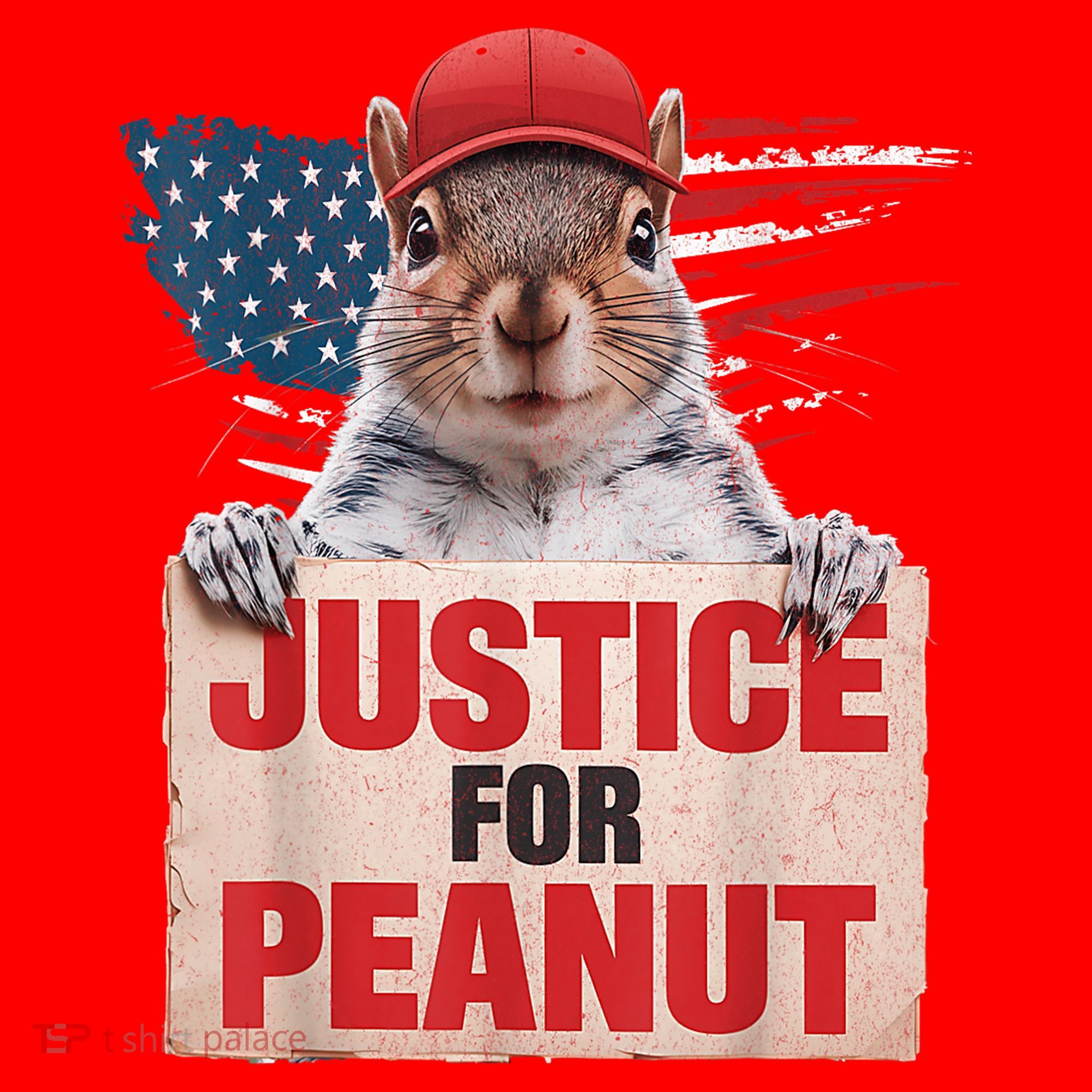 Justice For Peanut The Squirrel American Flag Peanut Squirrel Gift Santa Hat