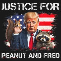Justice For Peanut Squirrel Fred Raccoon Vote Trump Maga Ornament thumb 1