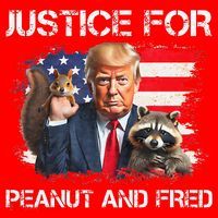 Justice For Peanut Squirrel Fred Raccoon Vote Trump Maga Santa Hat thumb 1