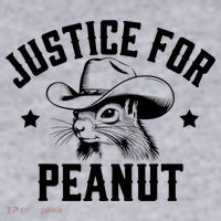 Justice For Peanut The Squirrel Peanut Squirrel Women's Sweatshirt thumb 2