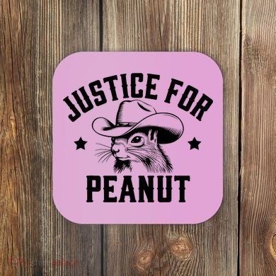 Justice For Peanut The Squirrel Peanut Squirrel Coaster