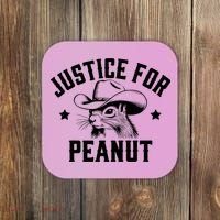 Justice For Peanut The Squirrel Peanut Squirrel Coaster thumb 0