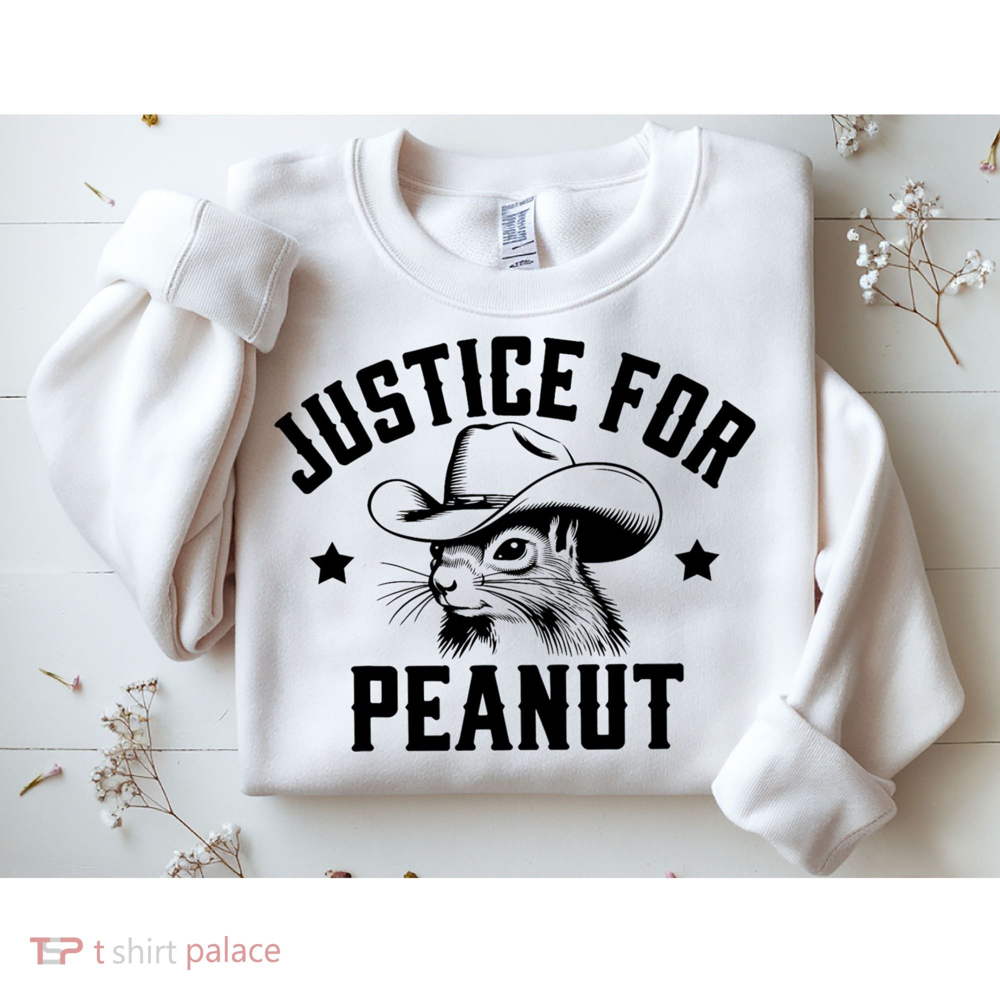 Justice For Peanut The Squirrel Peanut Squirrel Sweatshirt