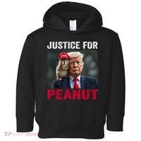 Justice For Peanut The Squirrel Wanted Toddler Hoodie thumb 0