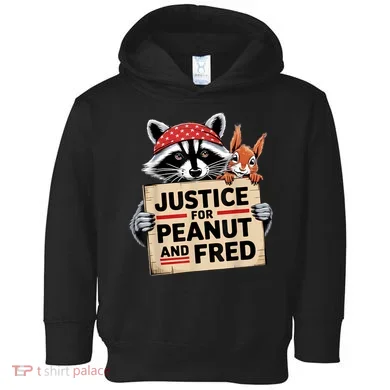 Toddler Hoodie