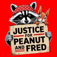 Justice For Peanut The Squirrel And Fred The Raccon Santa Hat thumb 1