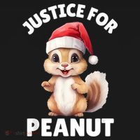 Justice For Peanut The Squirrel Funny T-Shirt thumb 7