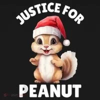 Justice For Peanut The Squirrel Funny Bucket Hat thumb 4