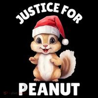 Justice For Peanut The Squirrel Funny Women's T-Shirt thumb 6