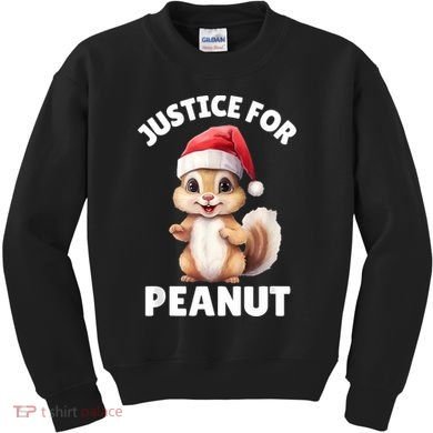 Justice For Peanut The Squirrel Funny Kids Sweatshirt