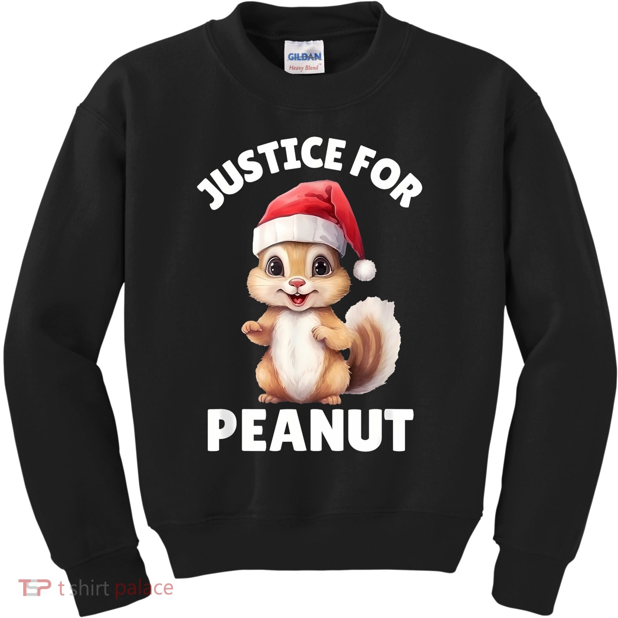 Justice For Peanut The Squirrel Funny Kids Sweatshirt