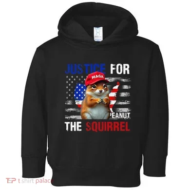 Toddler Hoodie