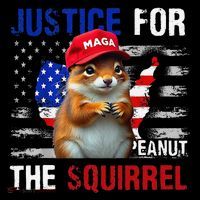 Justice For Peanut The Squirrel Peanut Squirrel Toddler Hoodie thumb 2
