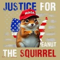 Justice For Peanut The Squirrel Peanut Squirrel T-Shirt thumb 7