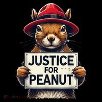 Justice For Peanut The Squirrel Wanted Ornament thumb 1