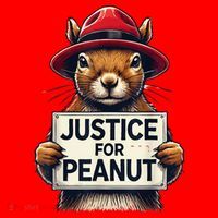 Justice For Peanut The Squirrel Wanted Santa Hat thumb 1