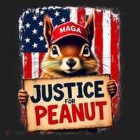 Justice For Peanut The Squirrel Peanut Squirrel Maga Women's Sweatshirt thumb 2