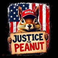 Justice For Peanut The Squirrel Peanut Squirrel Maga Kids T-Shirt thumb 4
