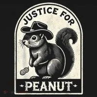 Justice For Peanut The Squirrel Peanut Squirrel Wanted Women's T-Shirt thumb 6
