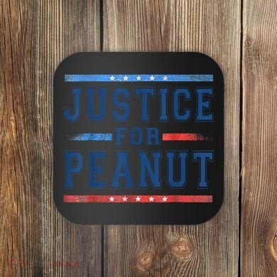 Justice For Peanut The Squirrel Peanut Squirrel Coaster