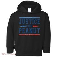 Justice For Peanut The Squirrel Peanut Squirrel Toddler Hoodie thumb 0
