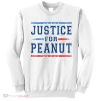 Justice For Peanut The Squirrel Peanut Squirrel Sweatshirt thumb 0
