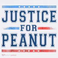Justice For Peanut The Squirrel Peanut Squirrel Women's T-Shirt thumb 6