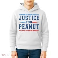 Justice For Peanut The Squirrel Peanut Squirrel Kids Hoodie thumb 4