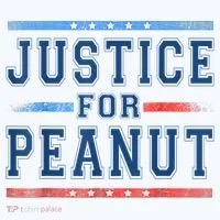Justice For Peanut The Squirrel Peanut Squirrel Kids Hoodie thumb 5