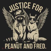 Justice For Peanut And Fred Peanut Squirrel Fred Raccoon Women's Sweatshirt thumb 2