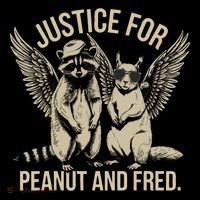 Justice For Peanut And Fred Peanut Squirrel Fred Raccoon Women's Hoodie thumb 2
