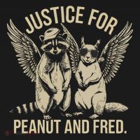 Justice For Peanut And Fred Peanut Squirrel Fred Raccoon Kids T-Shirt thumb 4