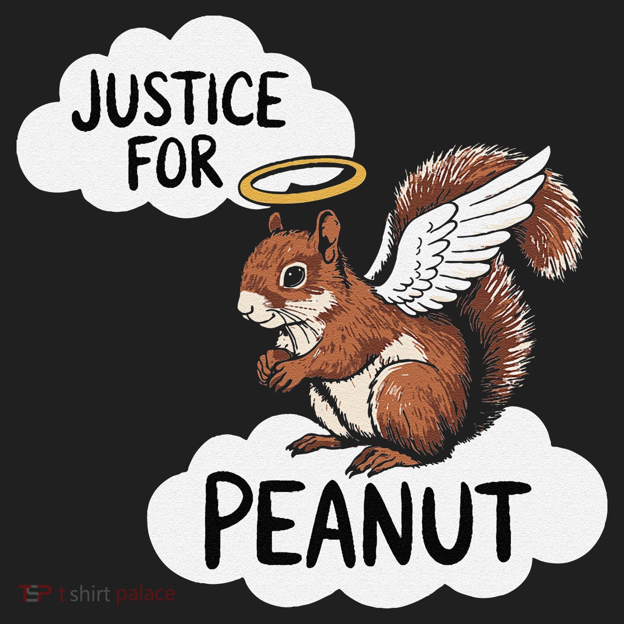 Justice For Peanut The Squirrel Beanie
