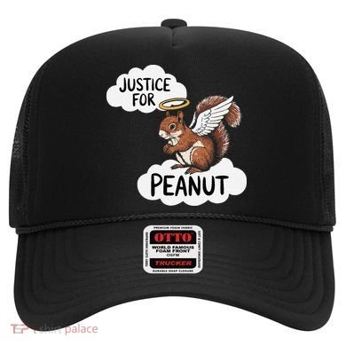 Justice For Peanut The Squirrel Hat