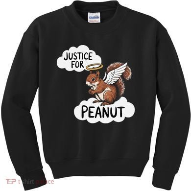 Justice For Peanut The Squirrel Kids Sweatshirt