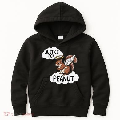 Justice For Peanut The Squirrel Kids Hoodie