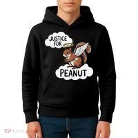 Justice For Peanut The Squirrel Kids Hoodie thumb 4