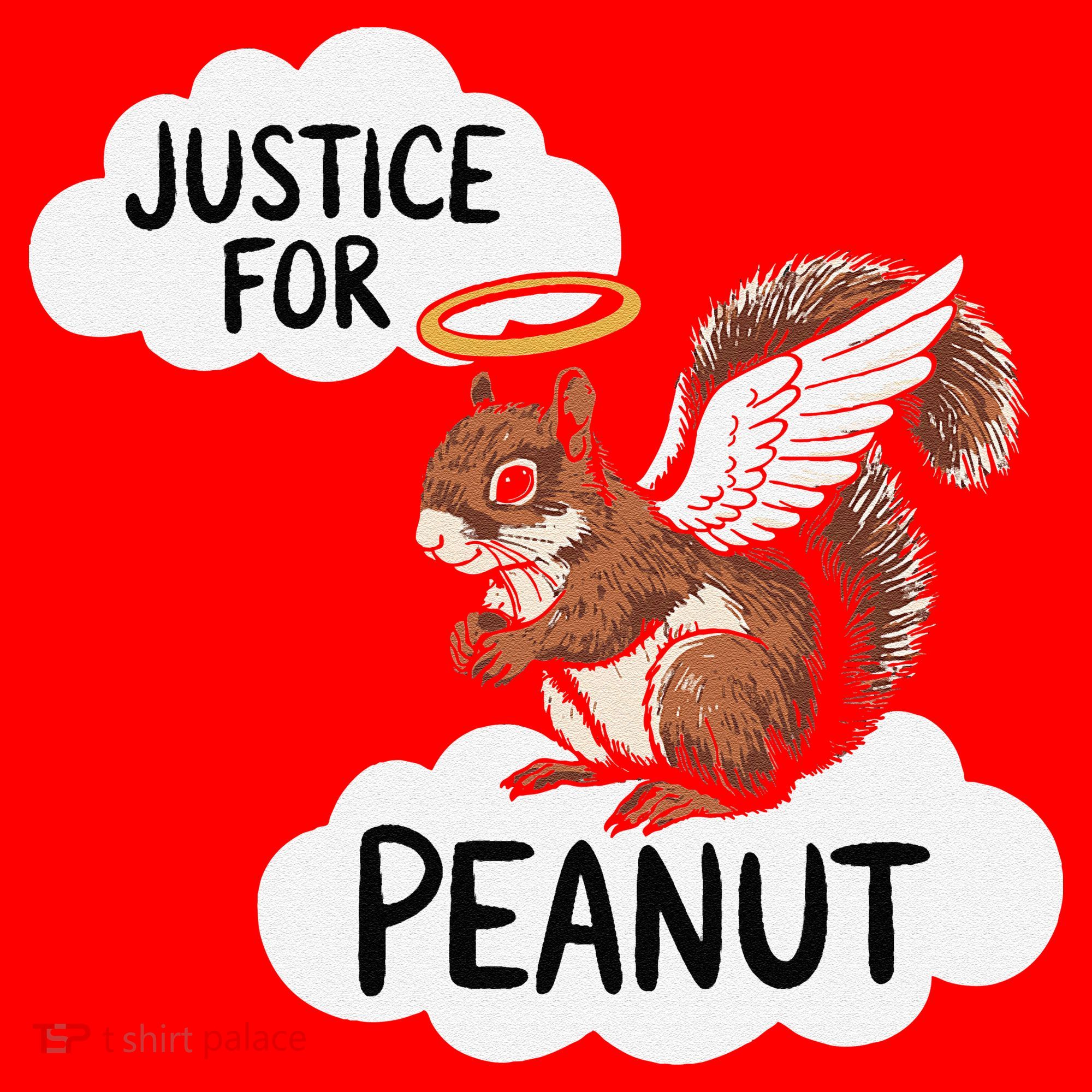 Justice For Peanut The Squirrel Santa Hat